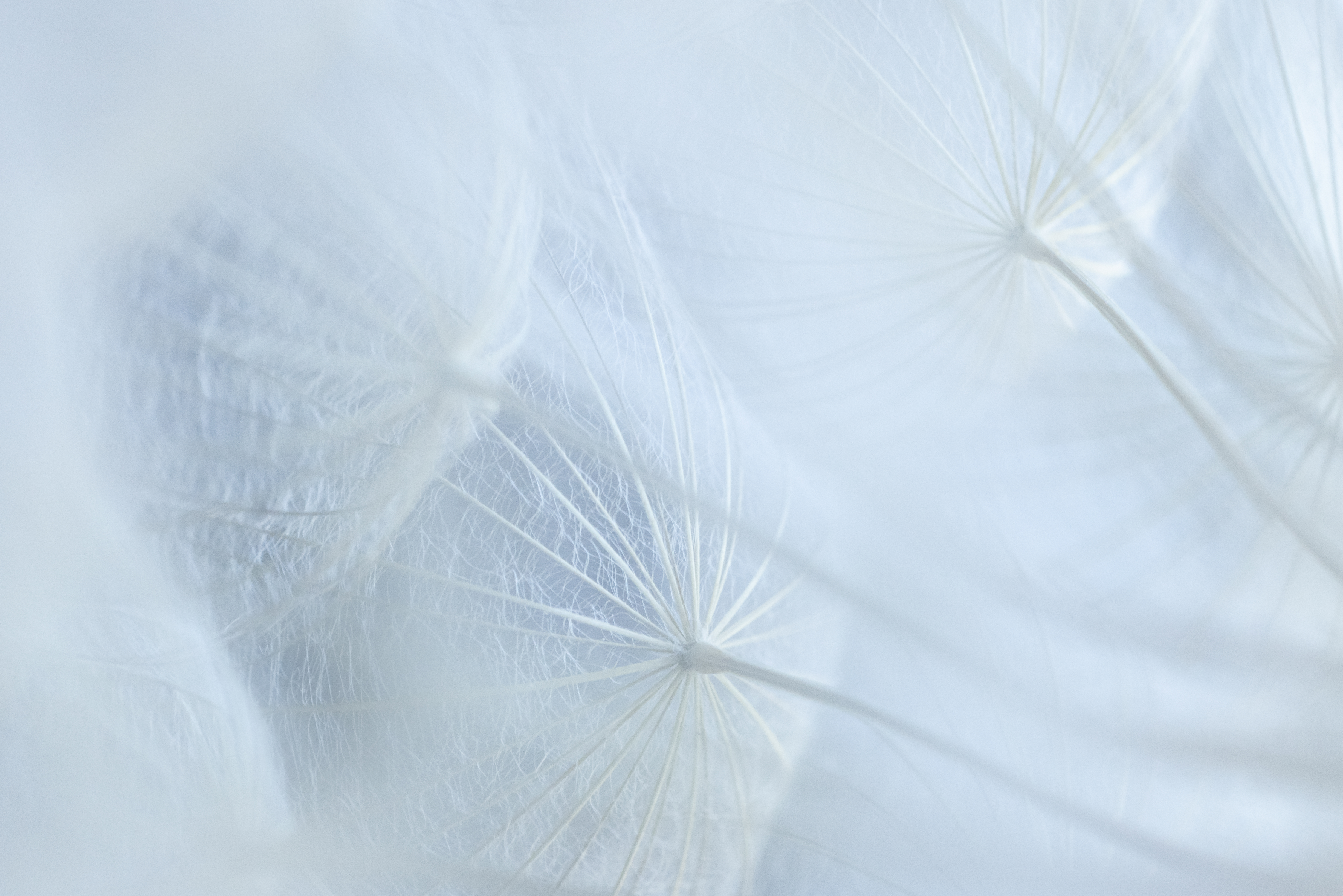 Platz Vier Fotowettbewerb Orange