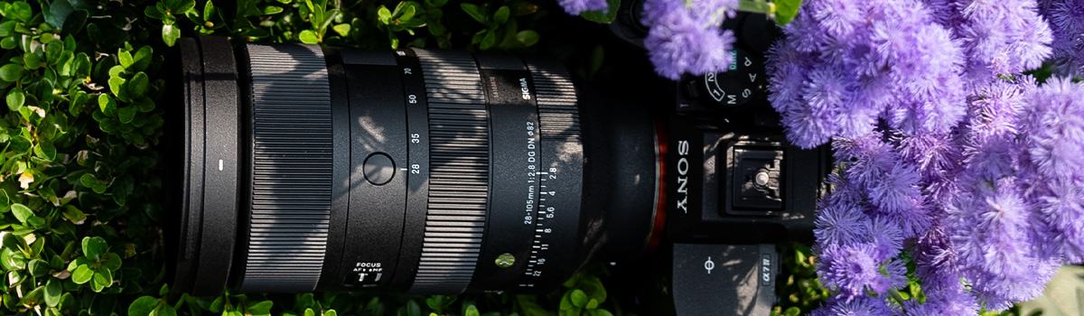 Review Sigma 28-105 DG DN ART