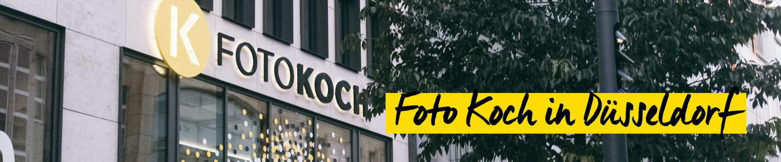 Foto Koch Team