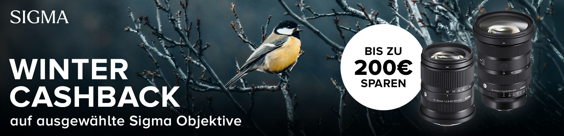 SIGMA Cashback SIGMA Cashback