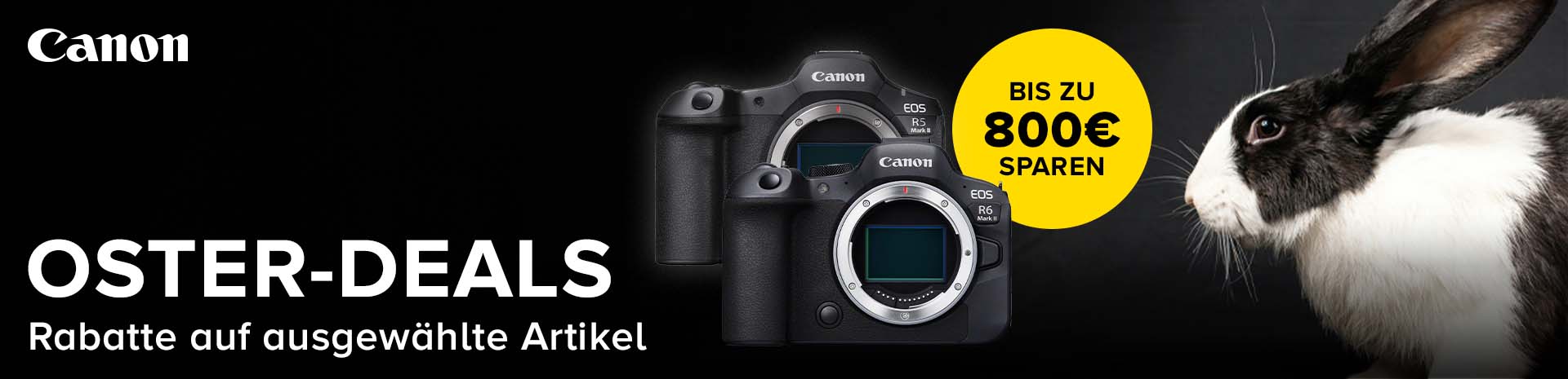 Canon Deal Canon Deal