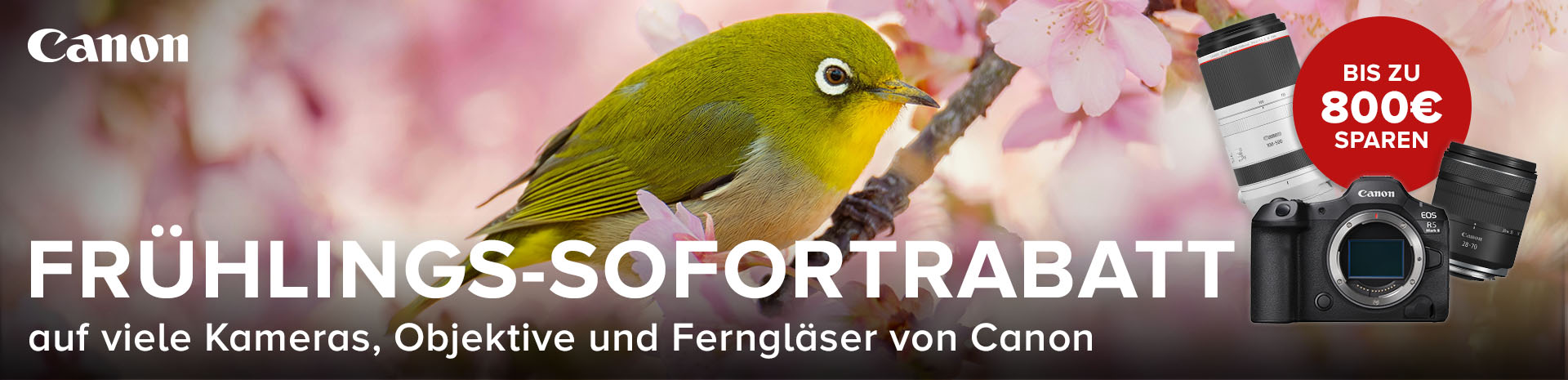 Canon Frühlings-Sofortrabatt