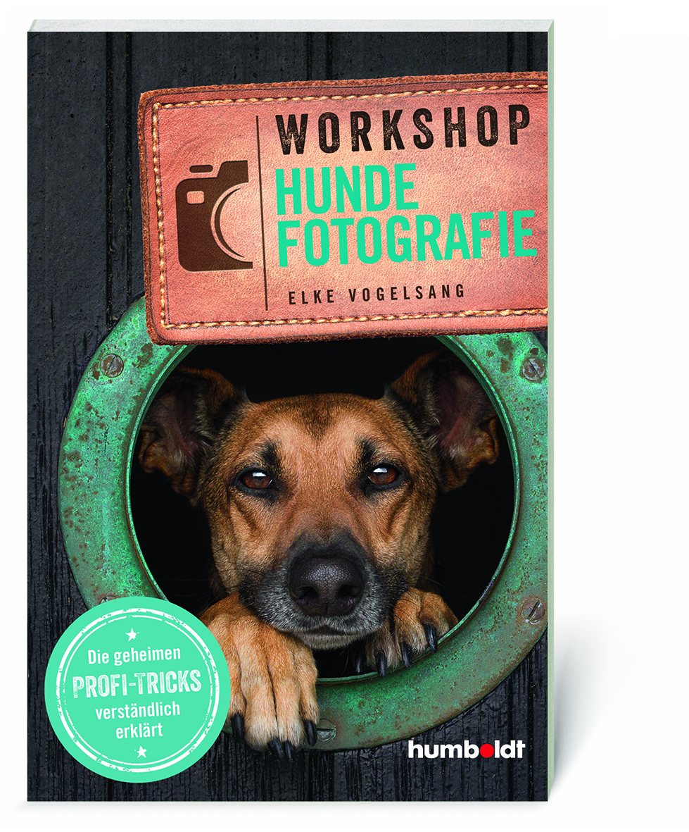 Buch Fotoratgeber Workshop Hundefotografie - Elke Vogelsang