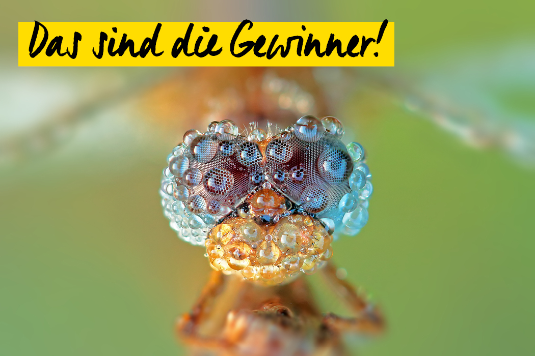 57 Schnappschuss Nah Dran Teaser