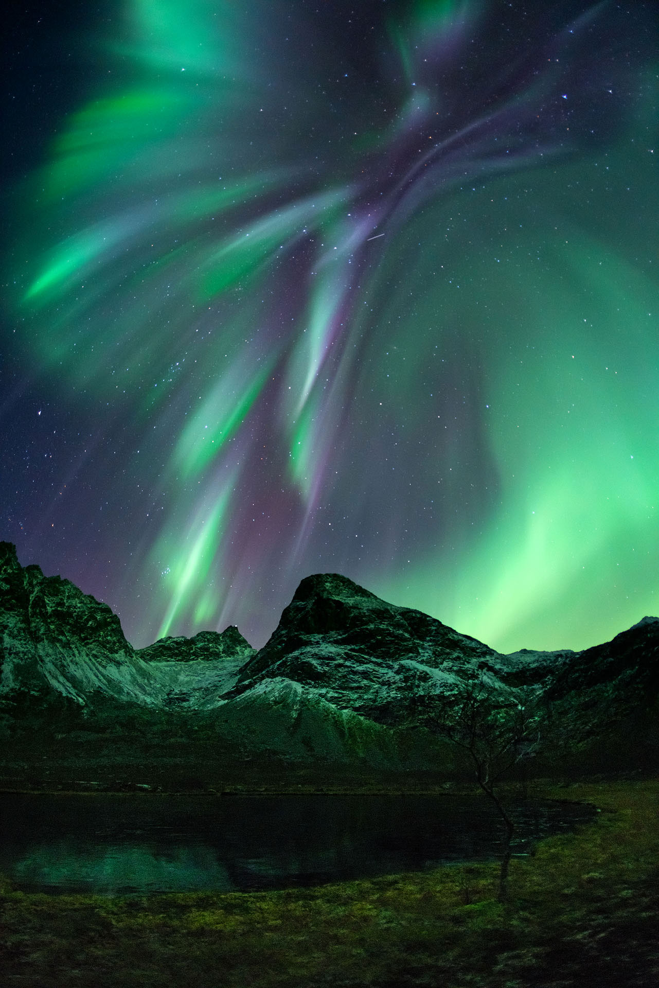 Antarktis Nordlichter