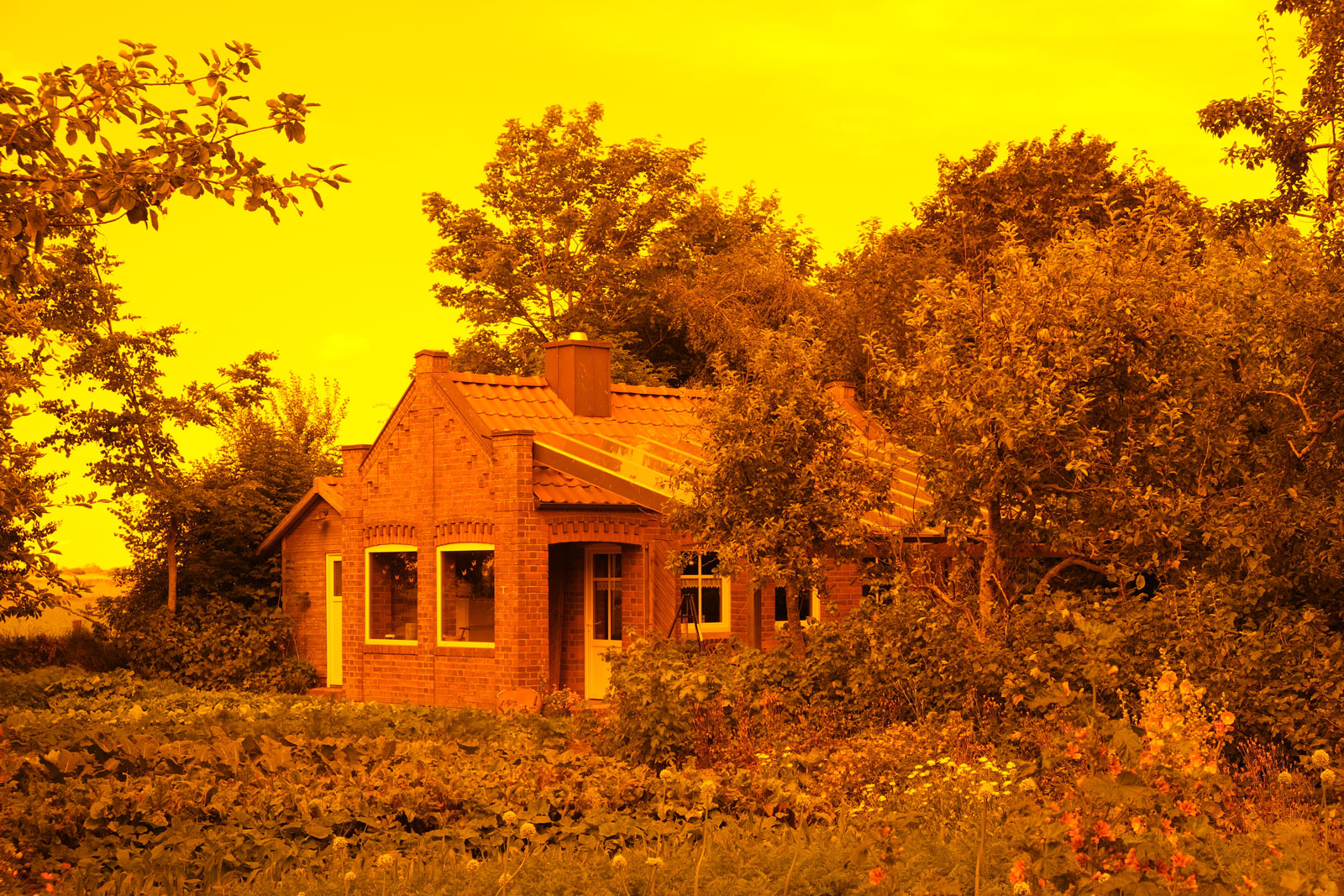 Fotografie mit Farbfilter