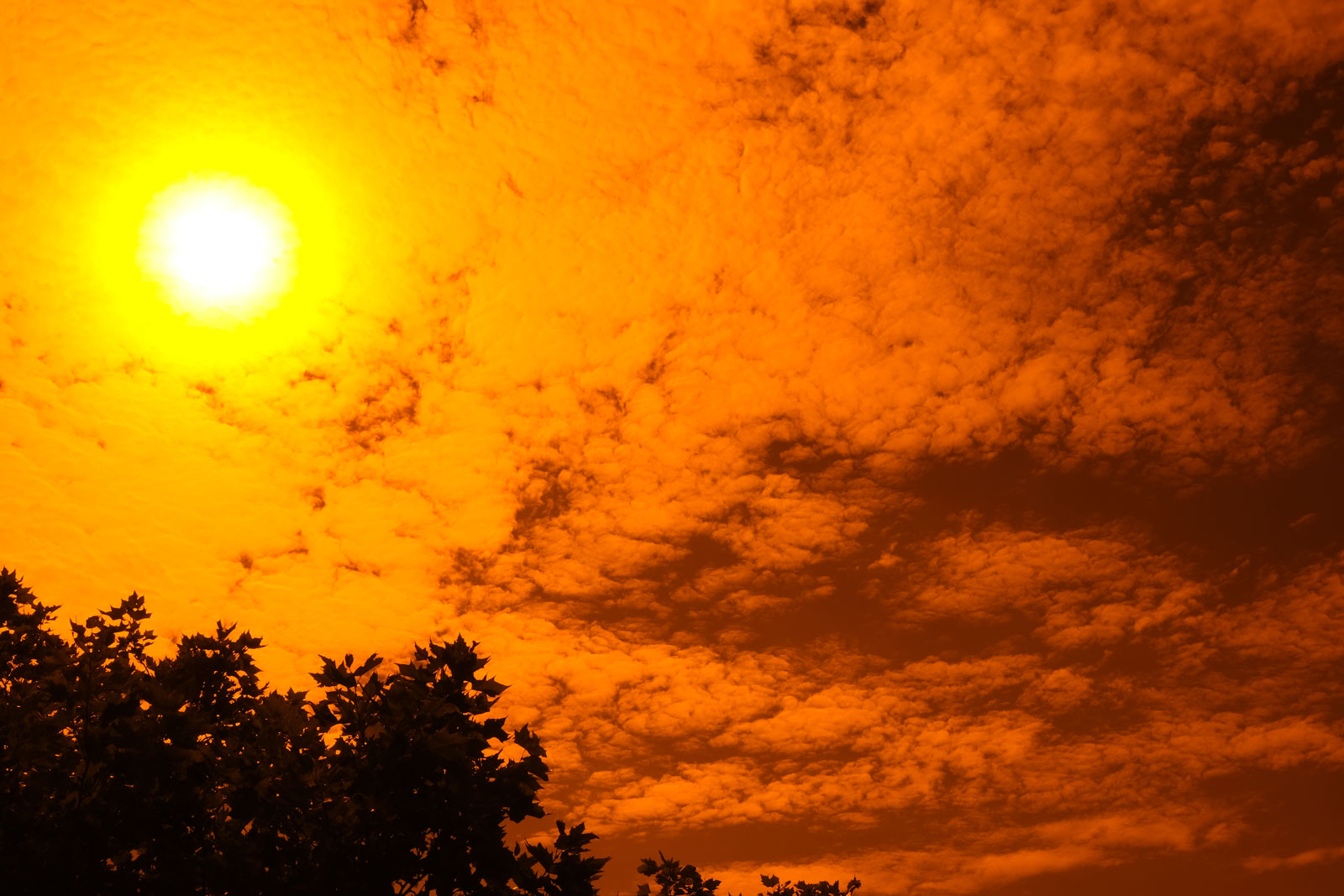 Fotografie mit Farbfilter