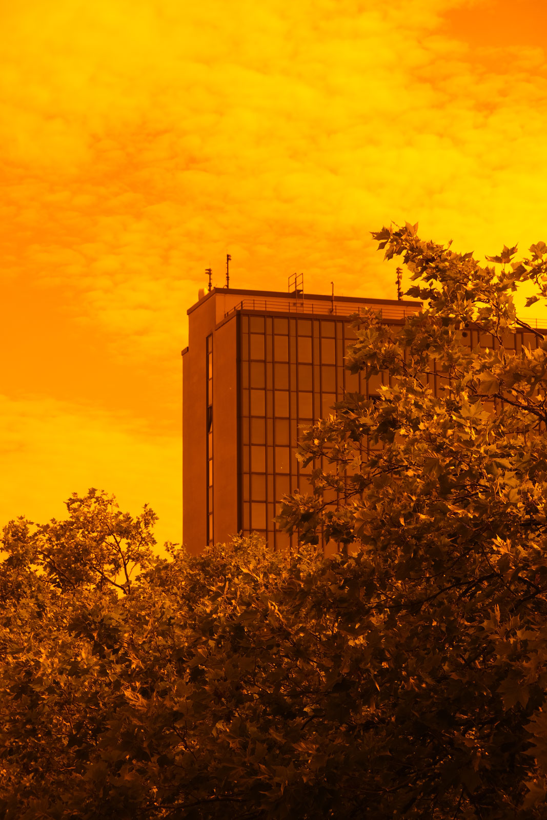 Fotografie mit Farbfilter