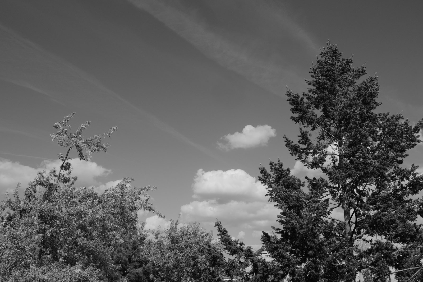 Fotografie mit Filter