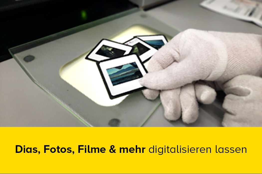 Foto Koch Digitization