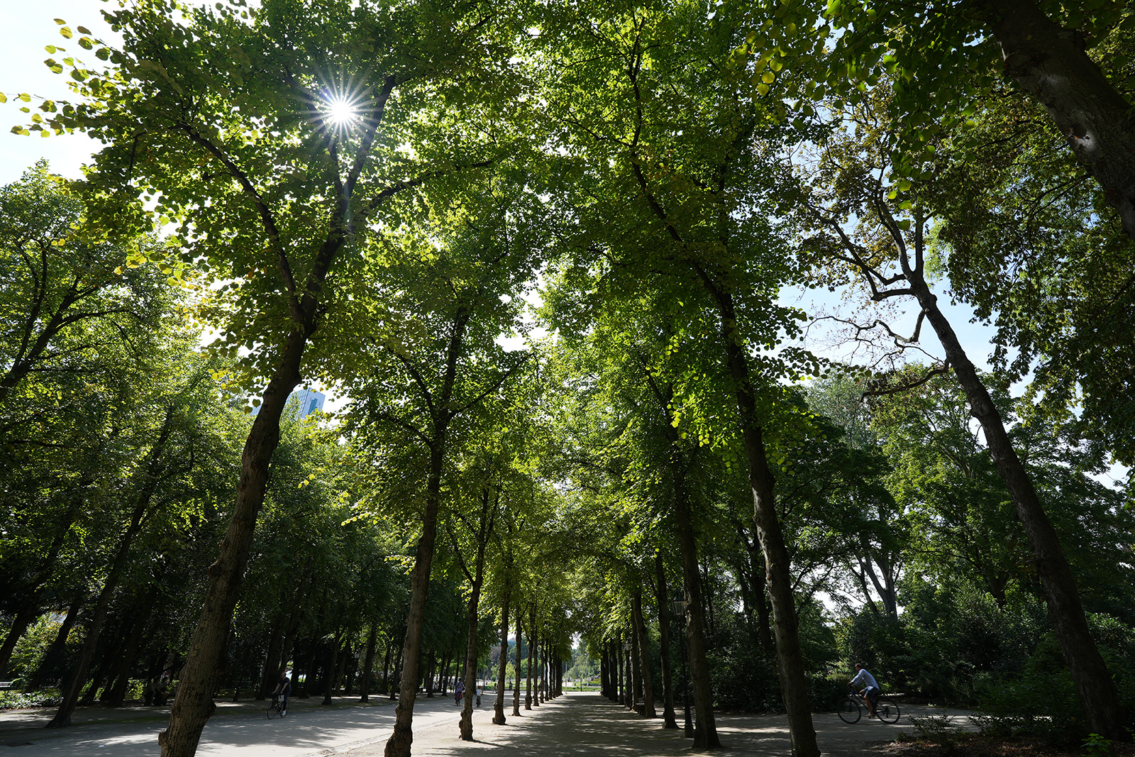 Sony 16-35mm f2,8 16mm chromatische Abberation