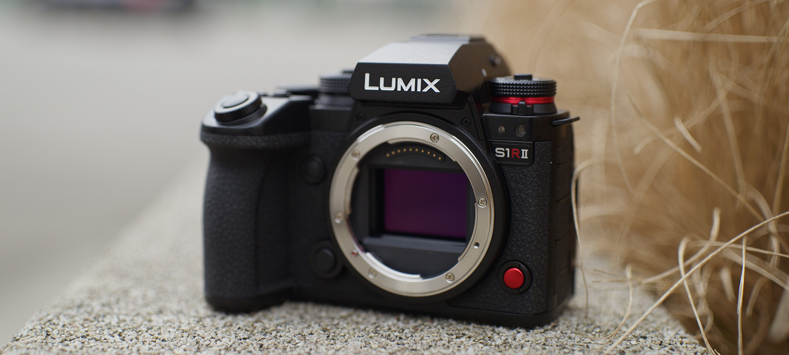 Panasonic Lumix S1R II Gehäuse