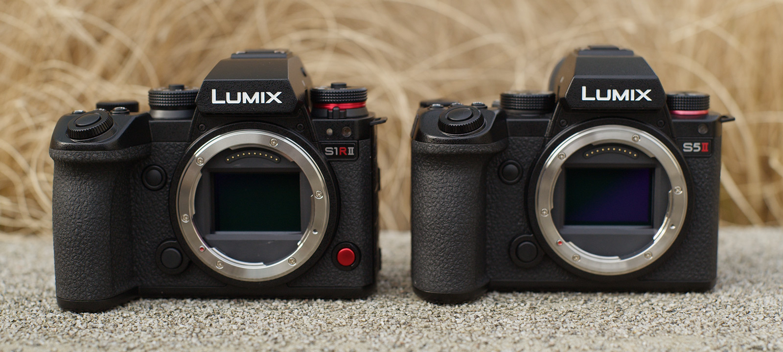 Vegleich Panasonic Lumix S1R II