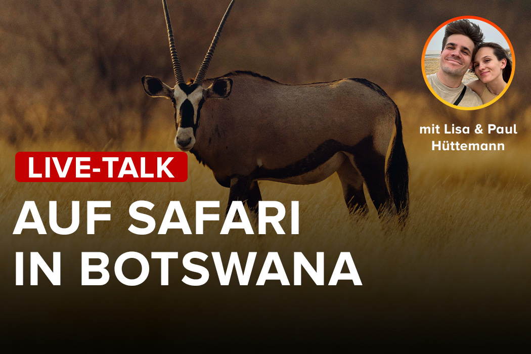 Live-Talk: Auf Safari in Botswana - mit Lisa & Paul Hüttemann Teaser
