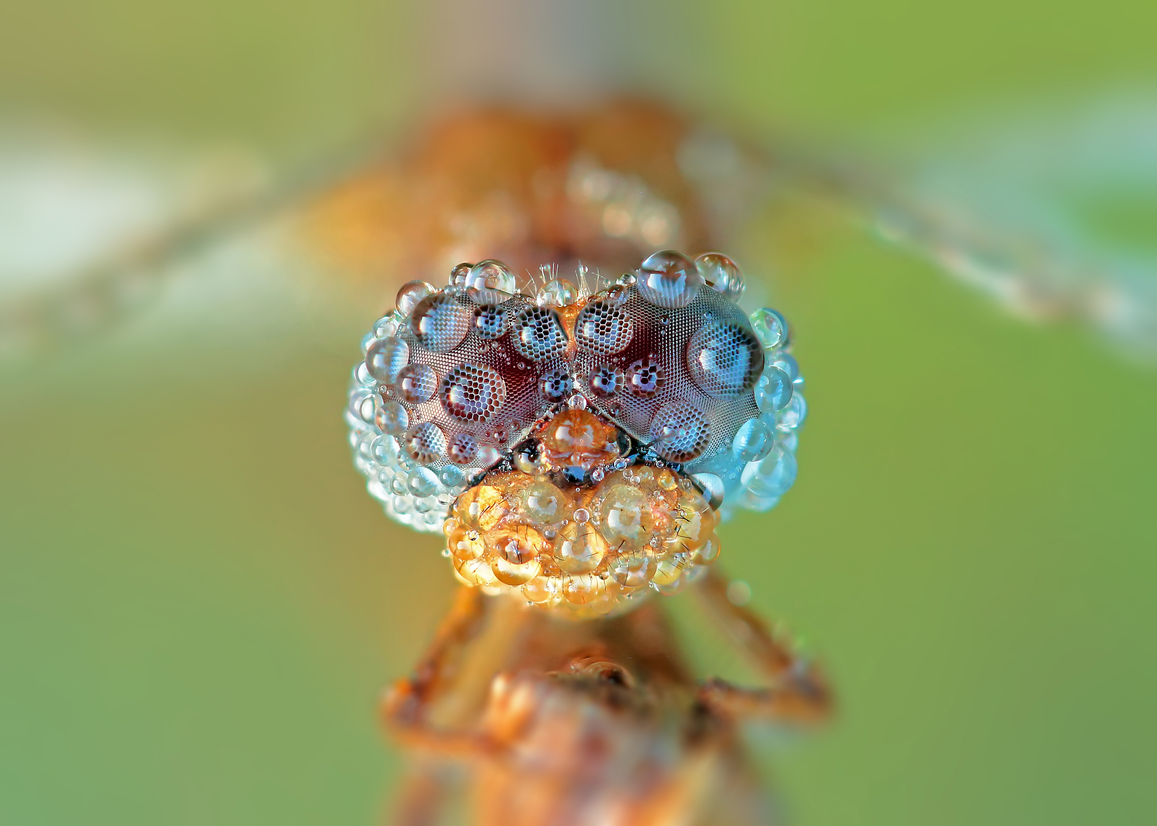 Fotowettbewerb Pop Up Platz 1 Heiko Dworak