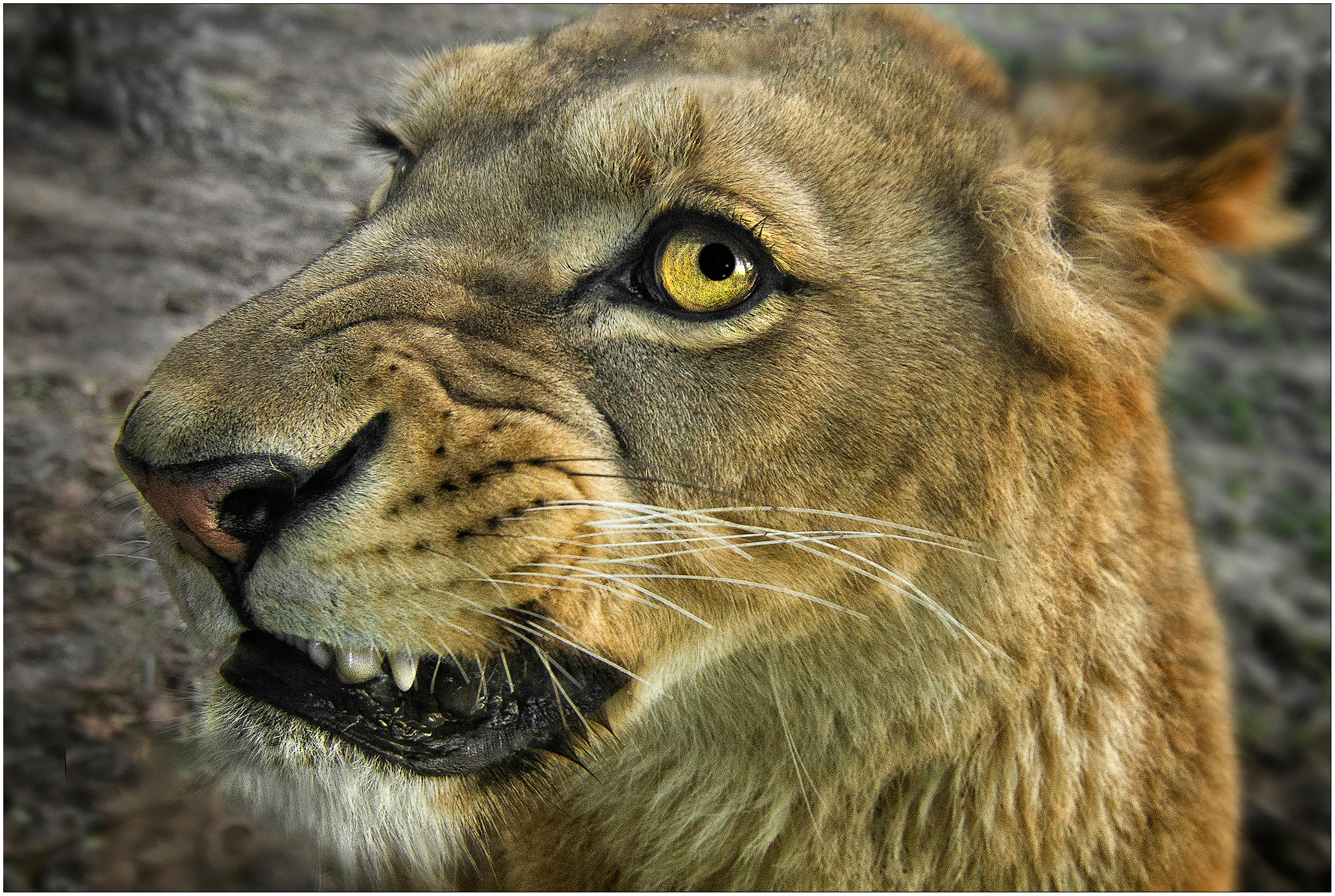 Fotowettbewerb Nah Dran Platz 2 Klaus-Peter Selzer