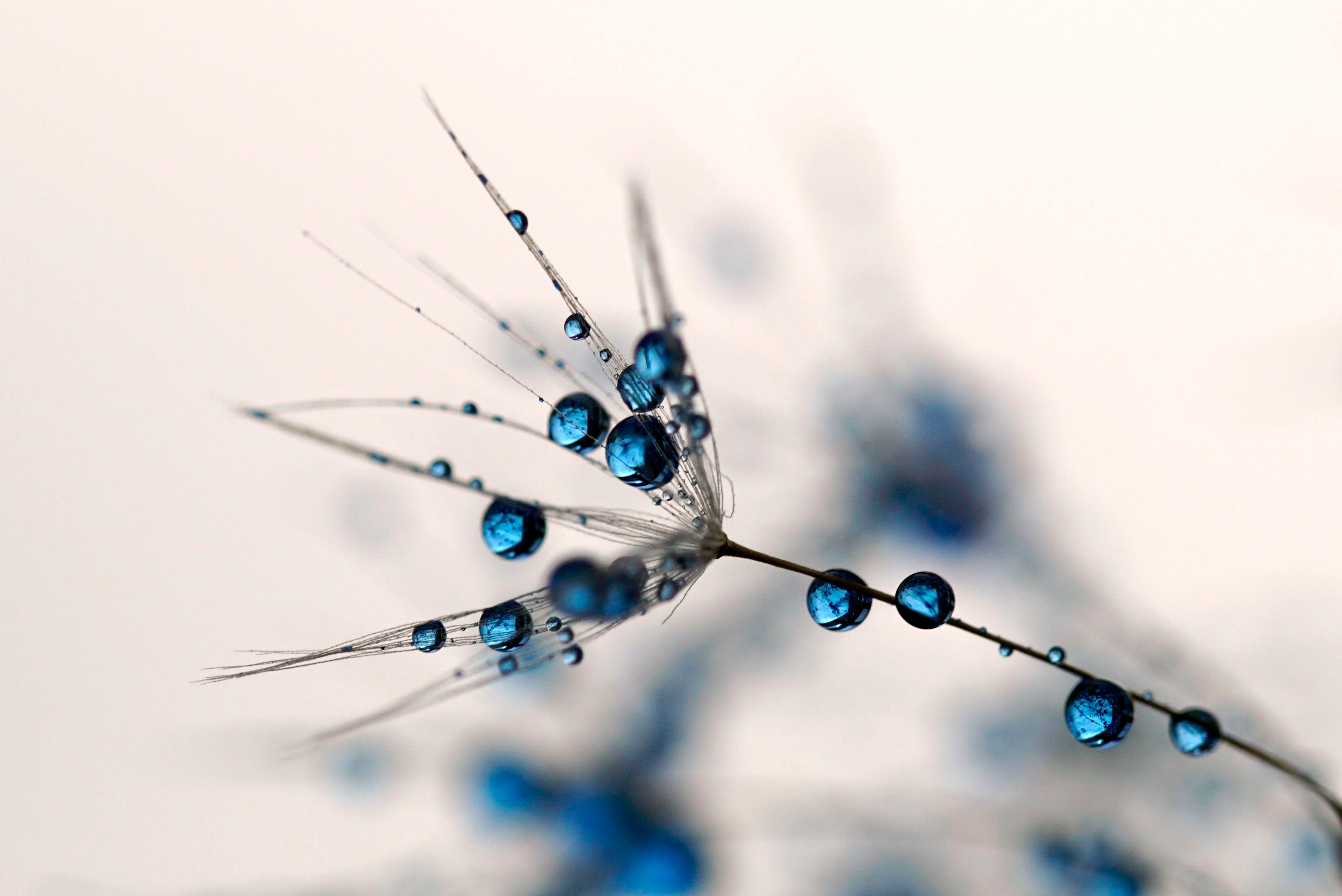 Fotowettbewerb Nah Dran Platz 5 regina Kühl