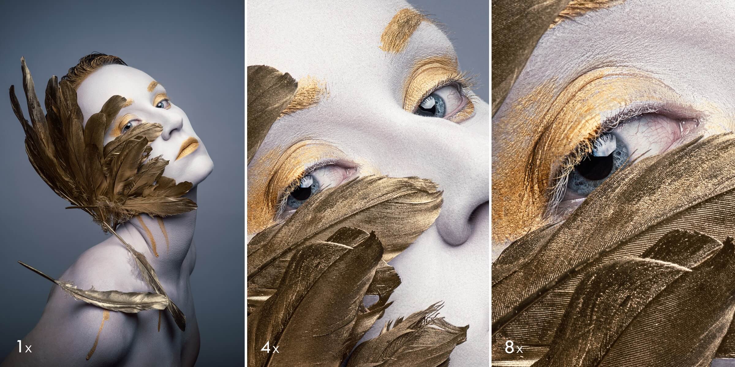 Hasselblad X2D 100C 100 Megapixel Beispiel (von Hasselblad)