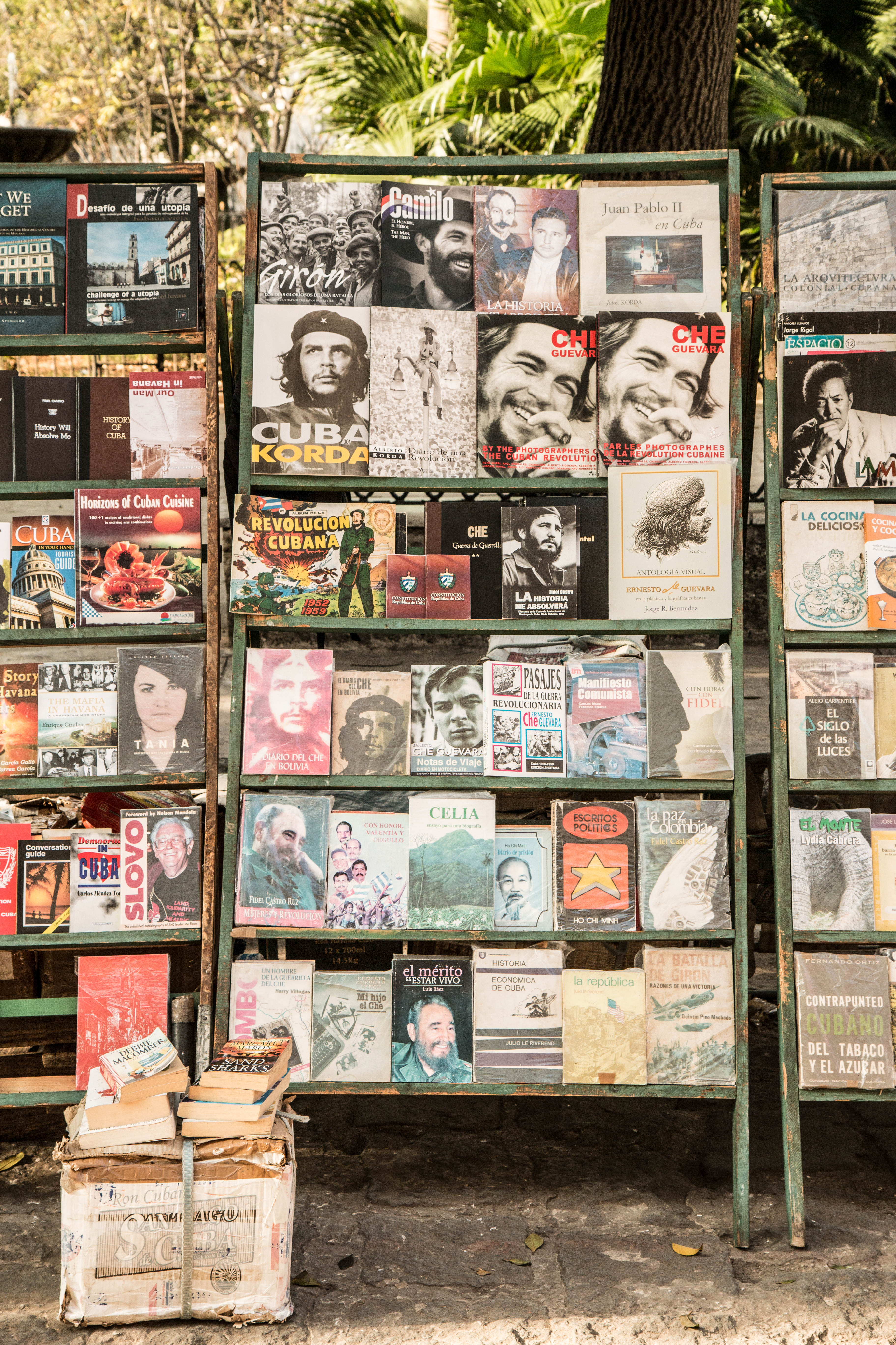 Literatur über Che Guevara