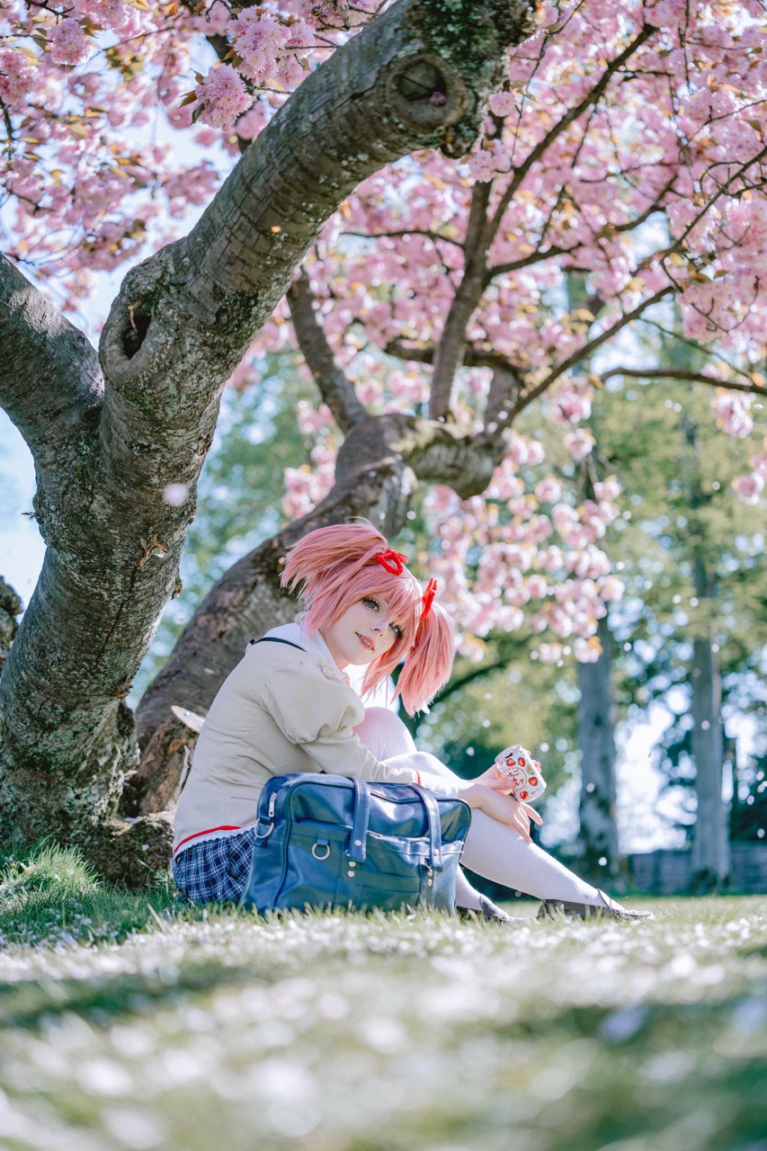 Sony 50-150mm f2 GM -  50mm f 2,0