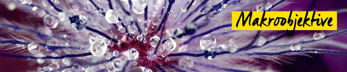 Makroobjektiv