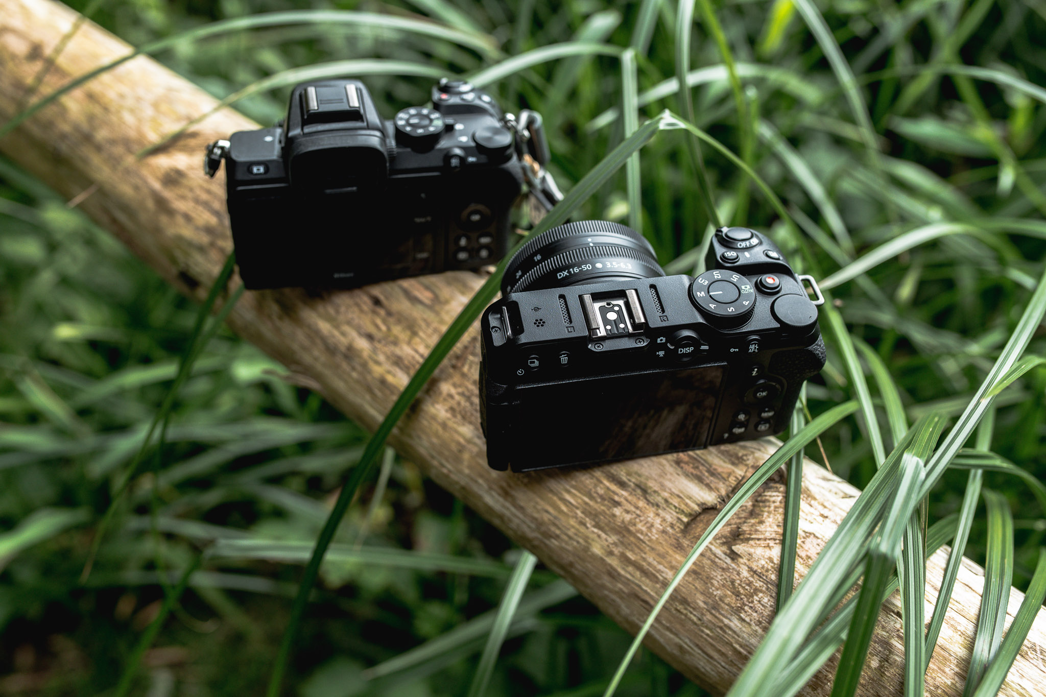 Nikon Z30 im Vergleich zur Nikon Z50