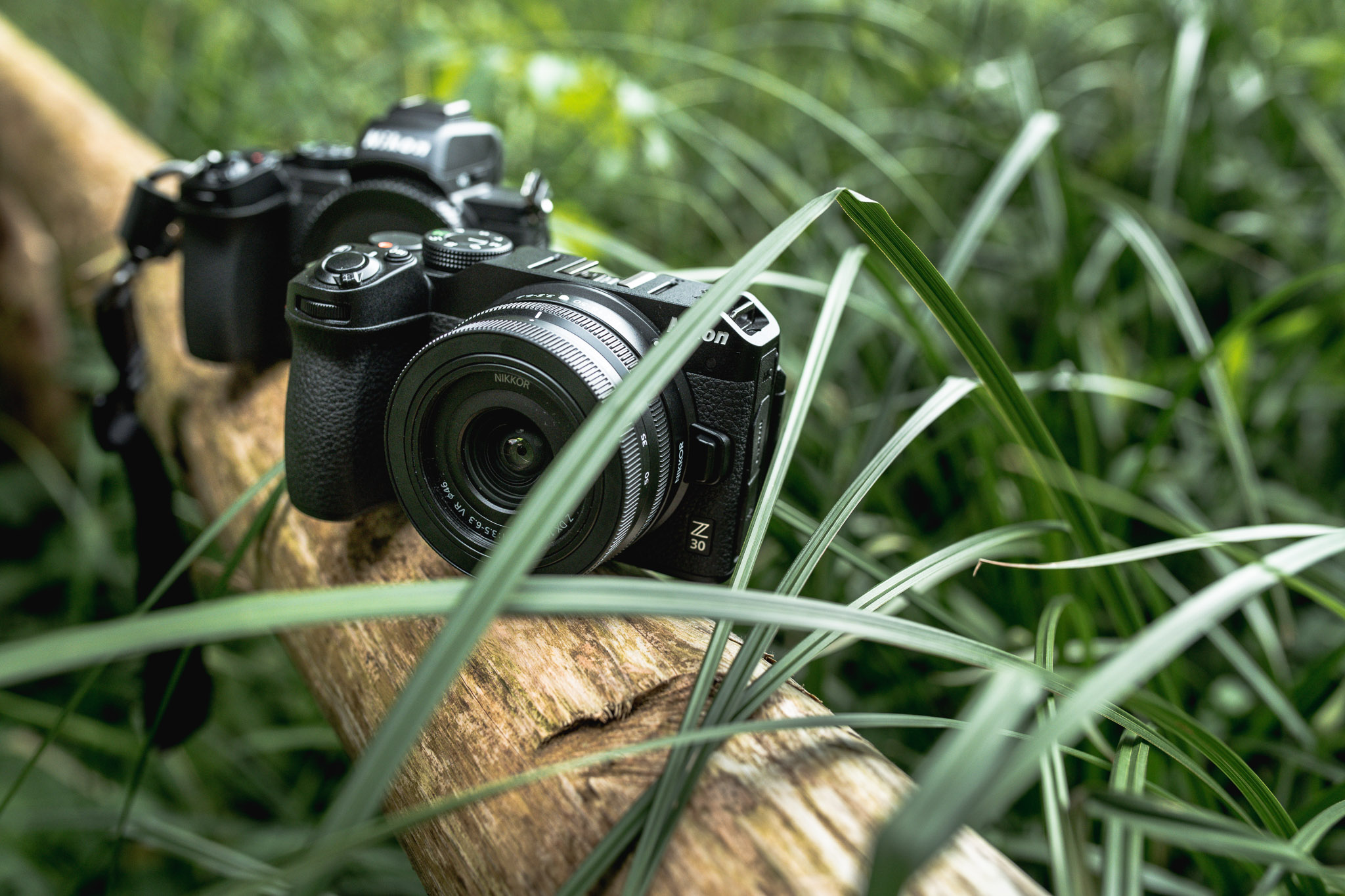 Nikon Z30 im Vergleich zur Nikon Z50