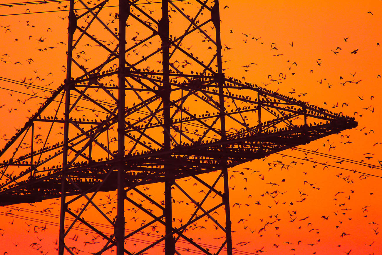 Schnappschuss 61 - Auf Foto-Safari im Ruhrpott