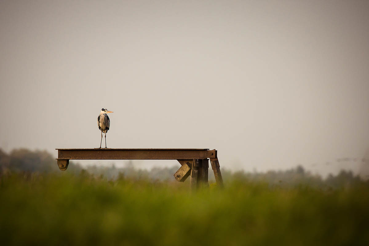 Schnappschuss 61 - Auf Foto-Safari im Ruhrpott