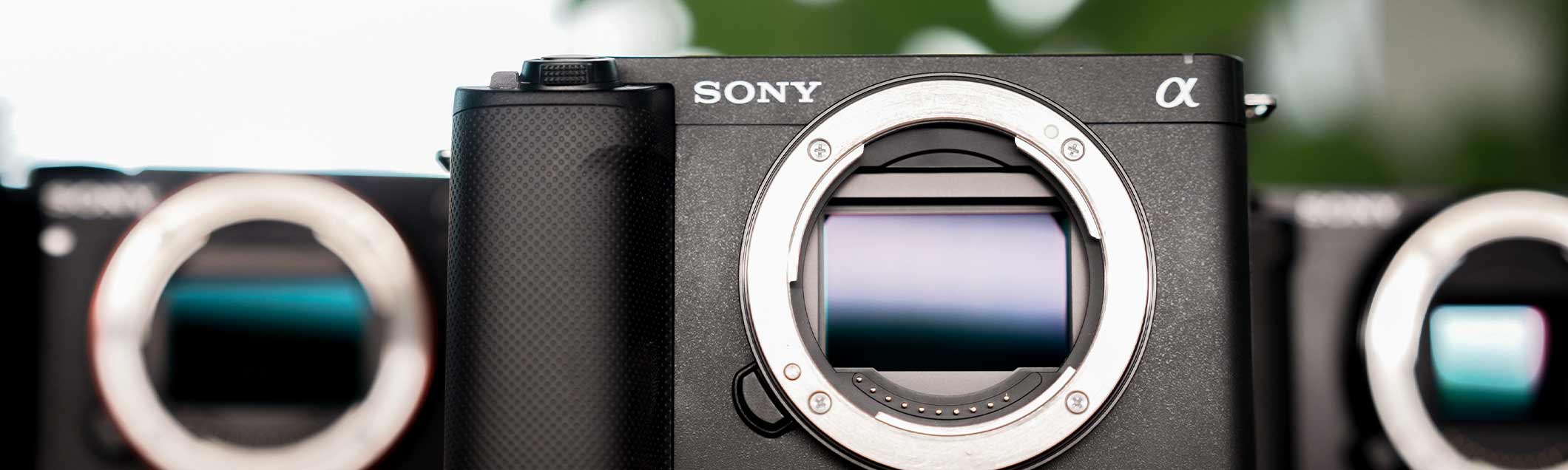 Sony Alpha ZV-E1 - Foto Koch