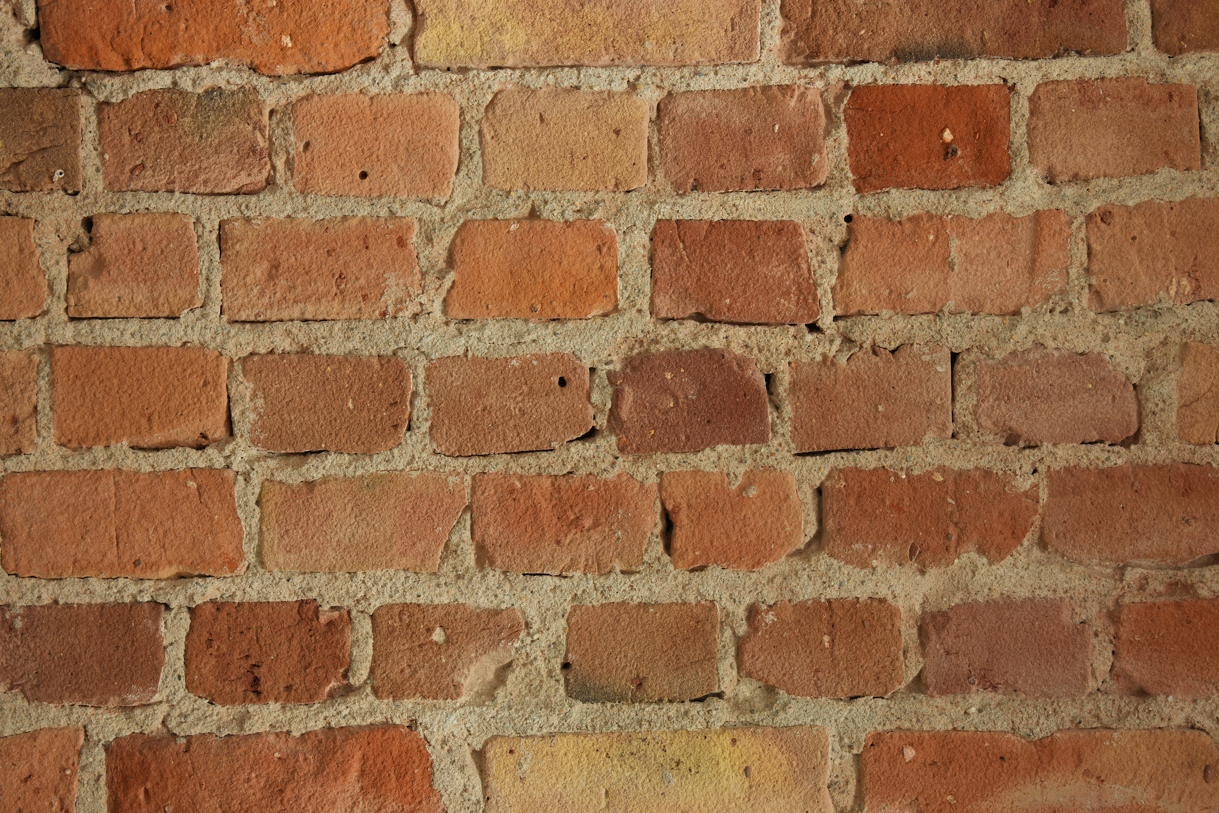 Sony SEL 24-70 GM II bei f2,8