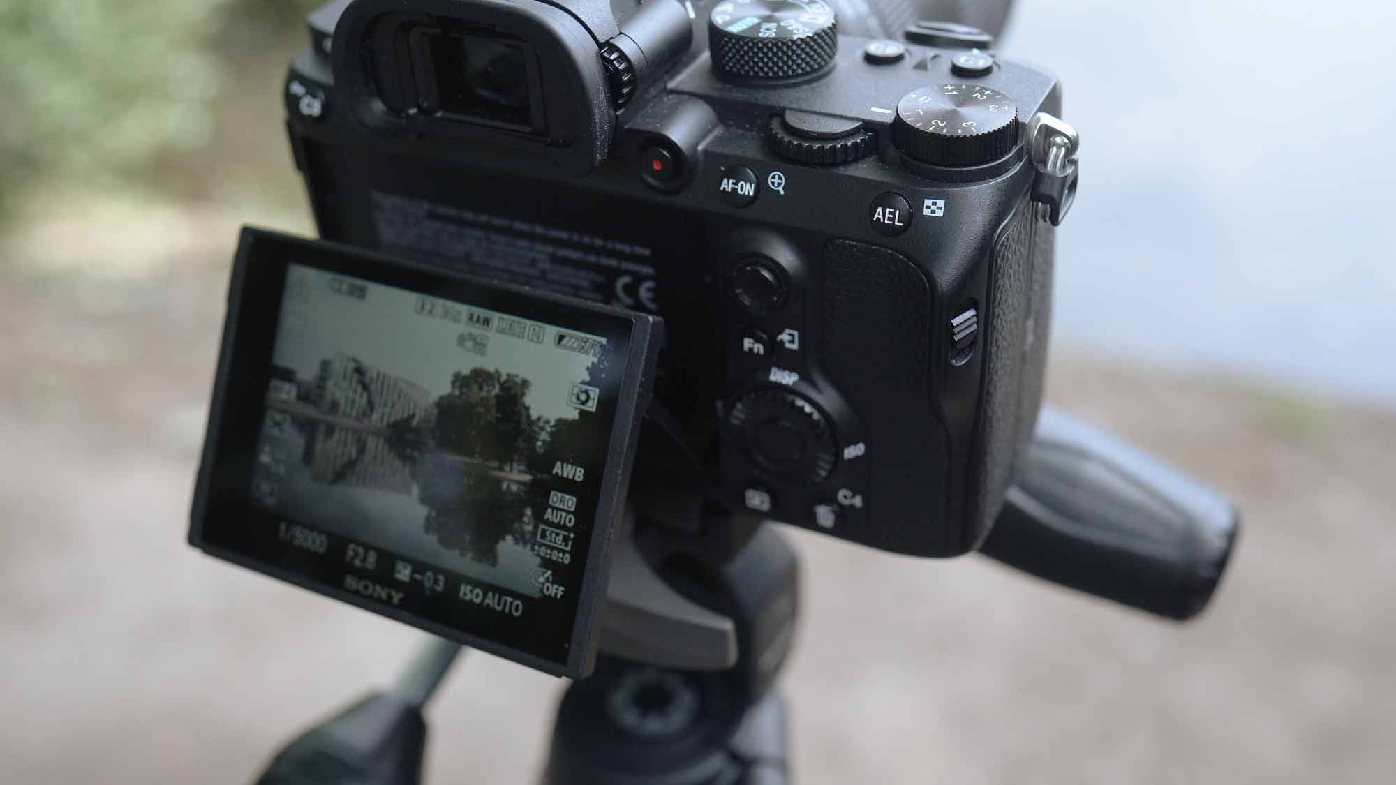 sony alpha 7 iii auf stativ