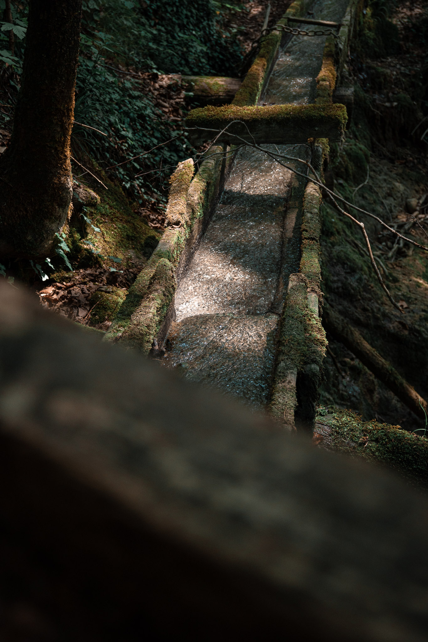 Nikon Nikkor Z DX 16-50mm f/3,5-6,3 VR