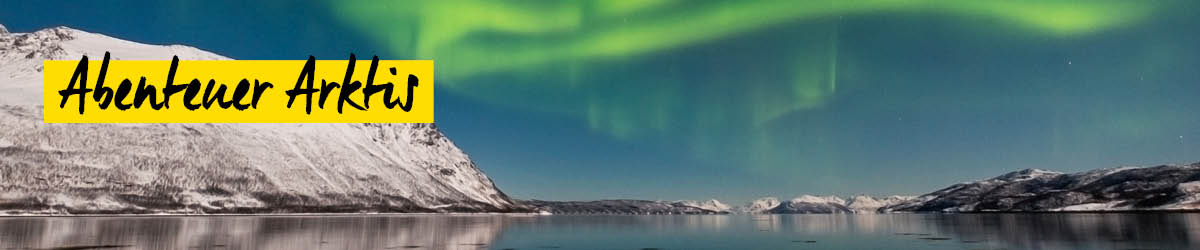 Abenteuer Arktis: Wildlife - und Landschaftsfotografie von Lana Tannir