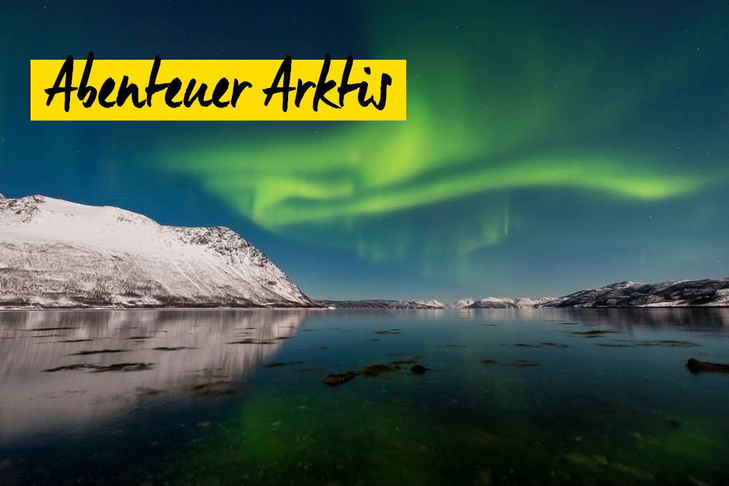 Wildlife- und Landschaftsfotografie - Lana Tannir