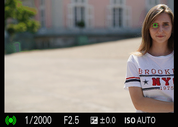 Sony Alpha 7 – die dritte Generation