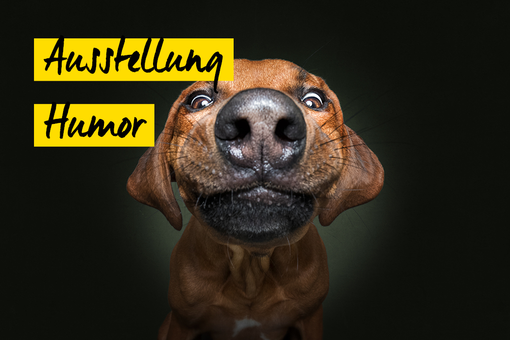 Ausstellung Humor