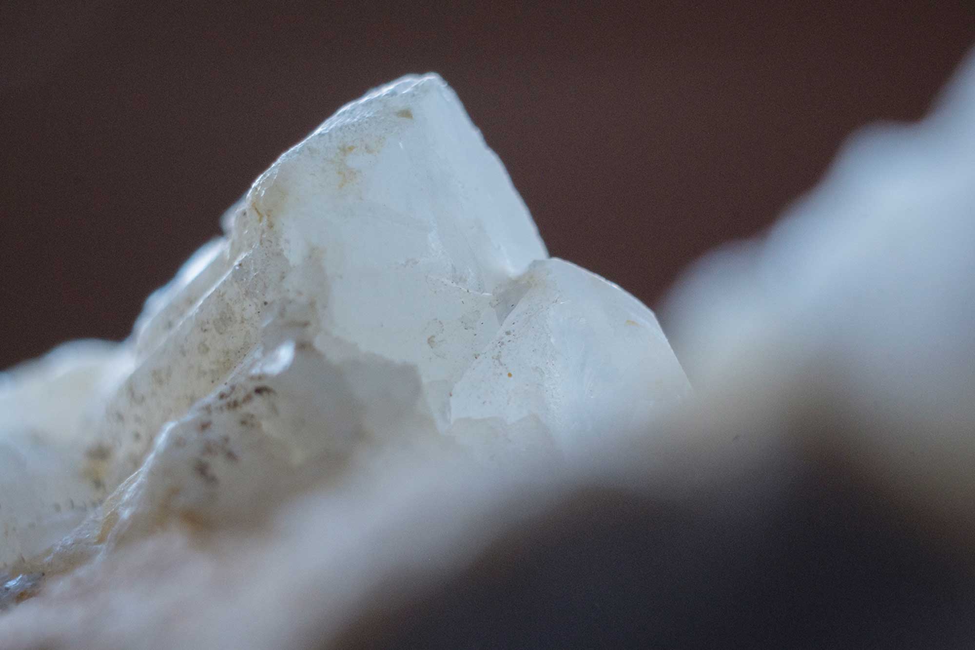 Novoflex Automatikbalgen - Bernd Ritschel