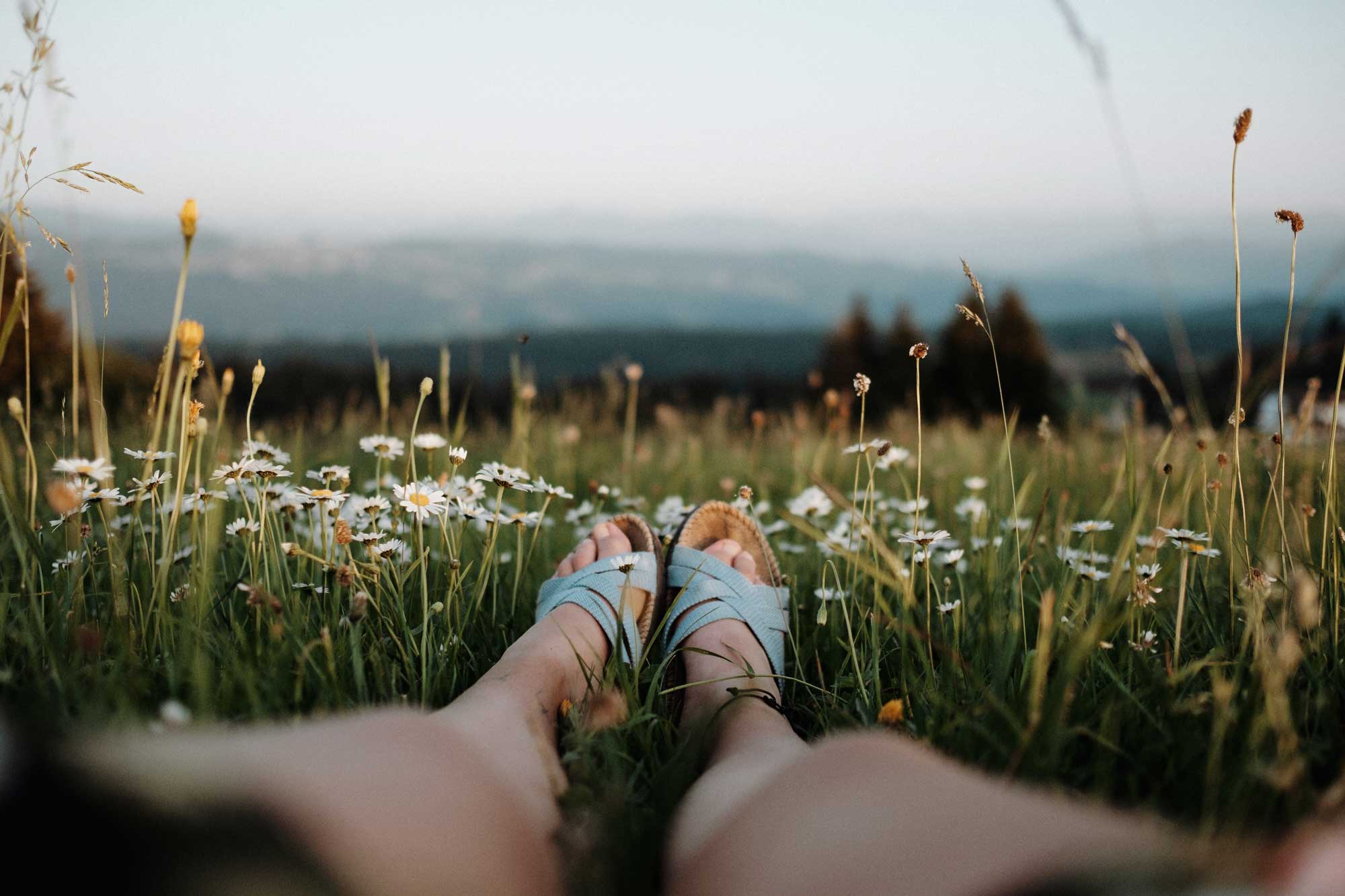 Nationalpark im Sommer