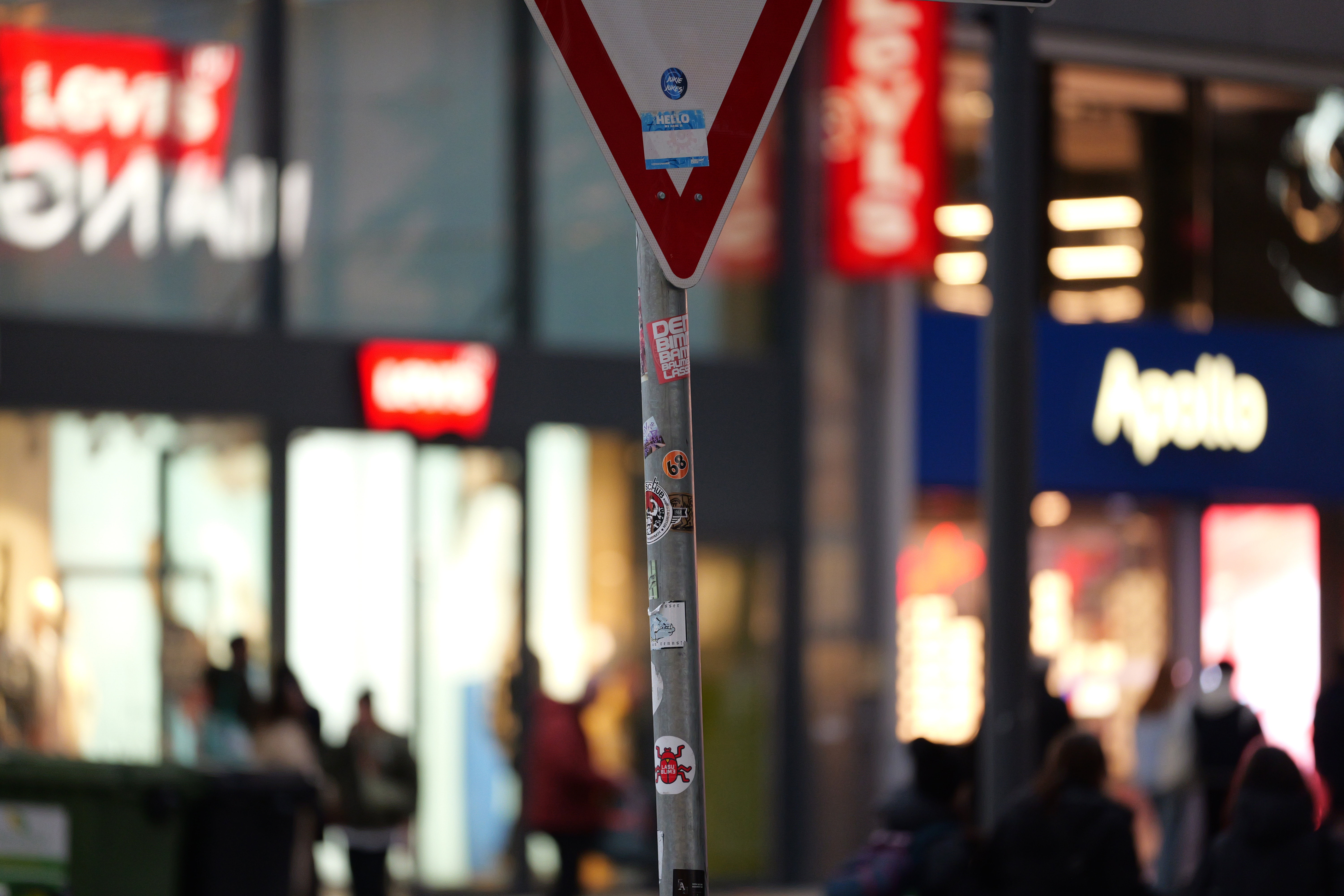 Bokeh des Sigma 70-200 DG DN OS S