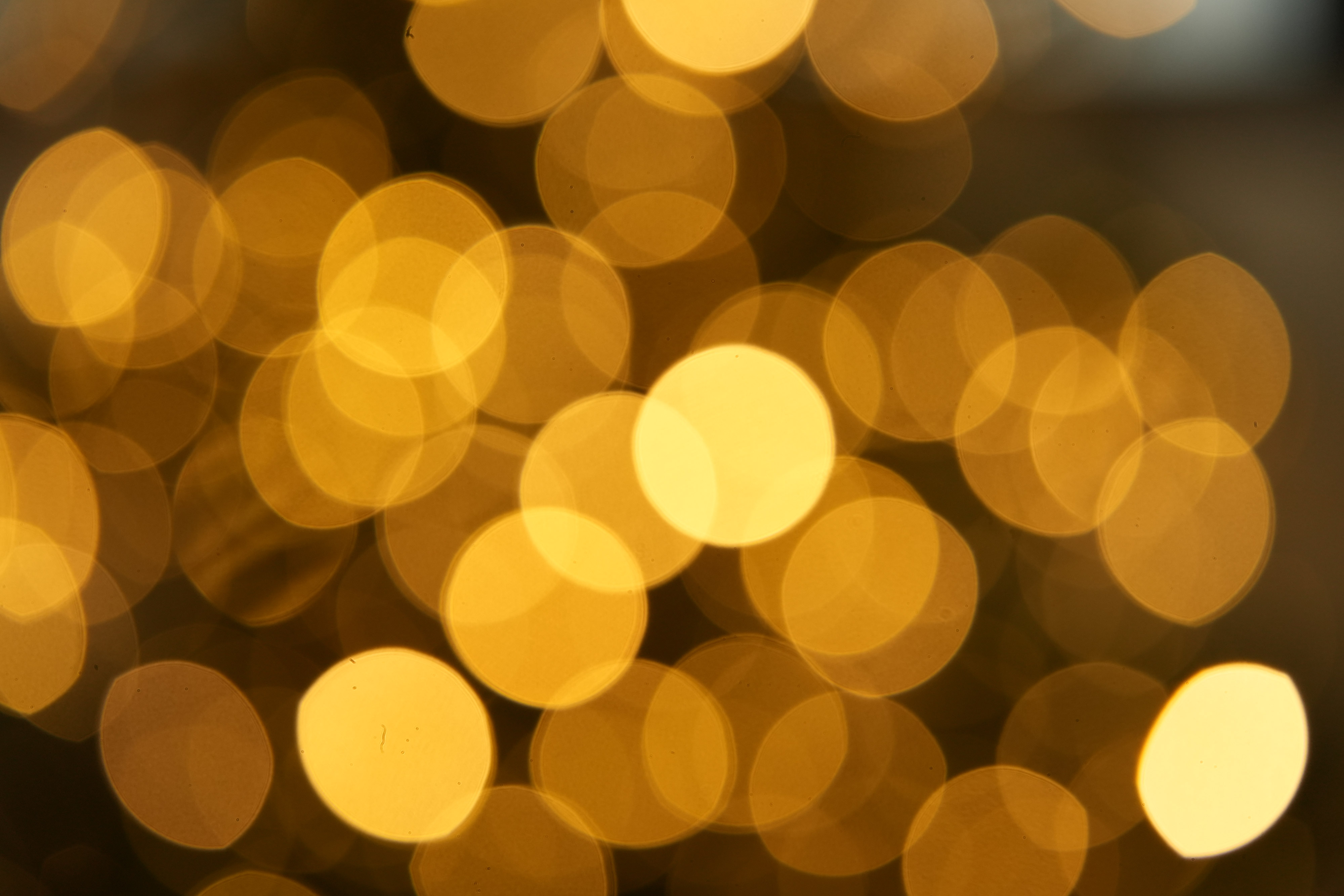 Tamron 90mm f2,8 Di III Macro VXD - Bokeh