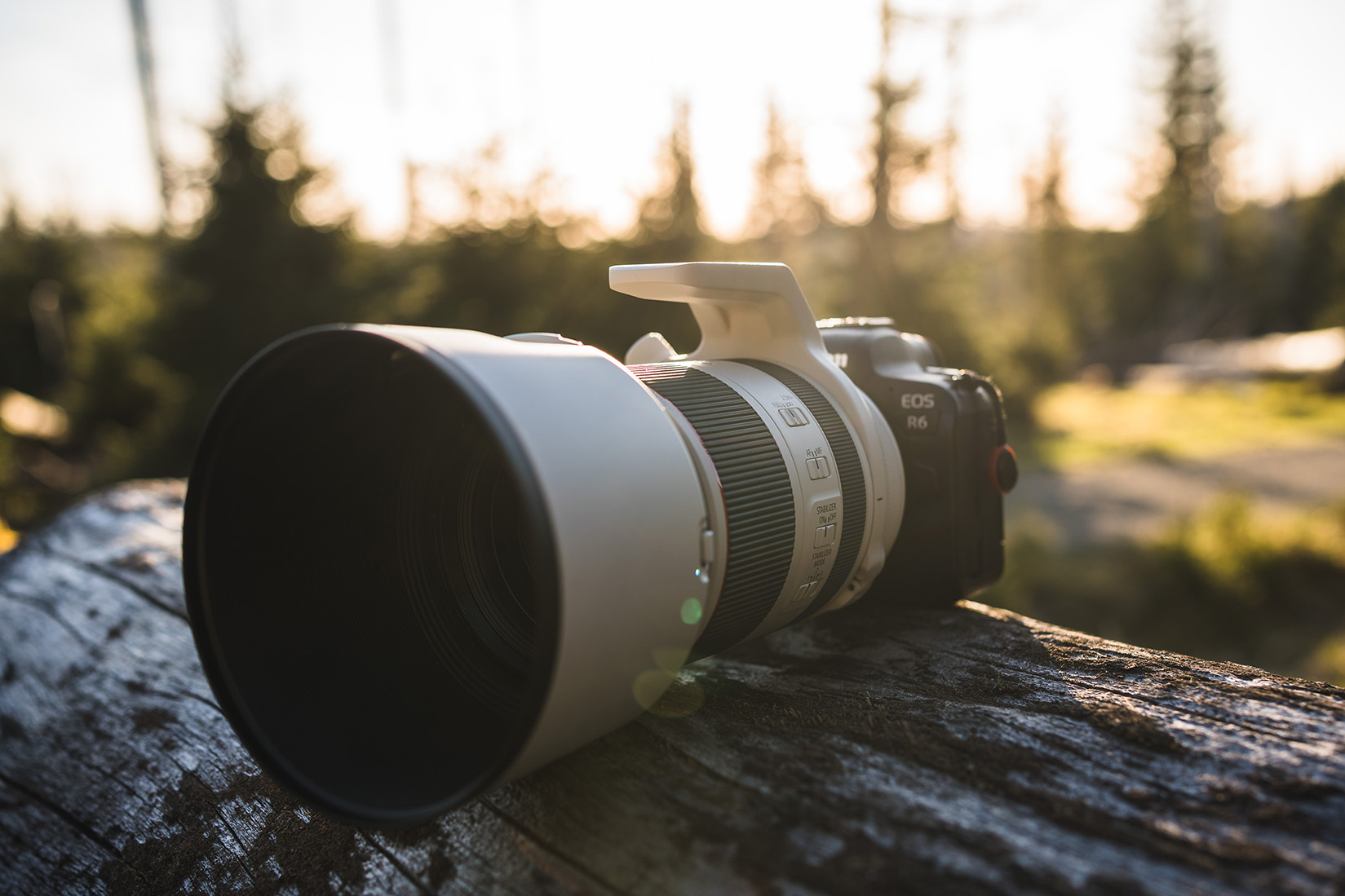 Canon RF 70-200mm f 2.8 Testbericht