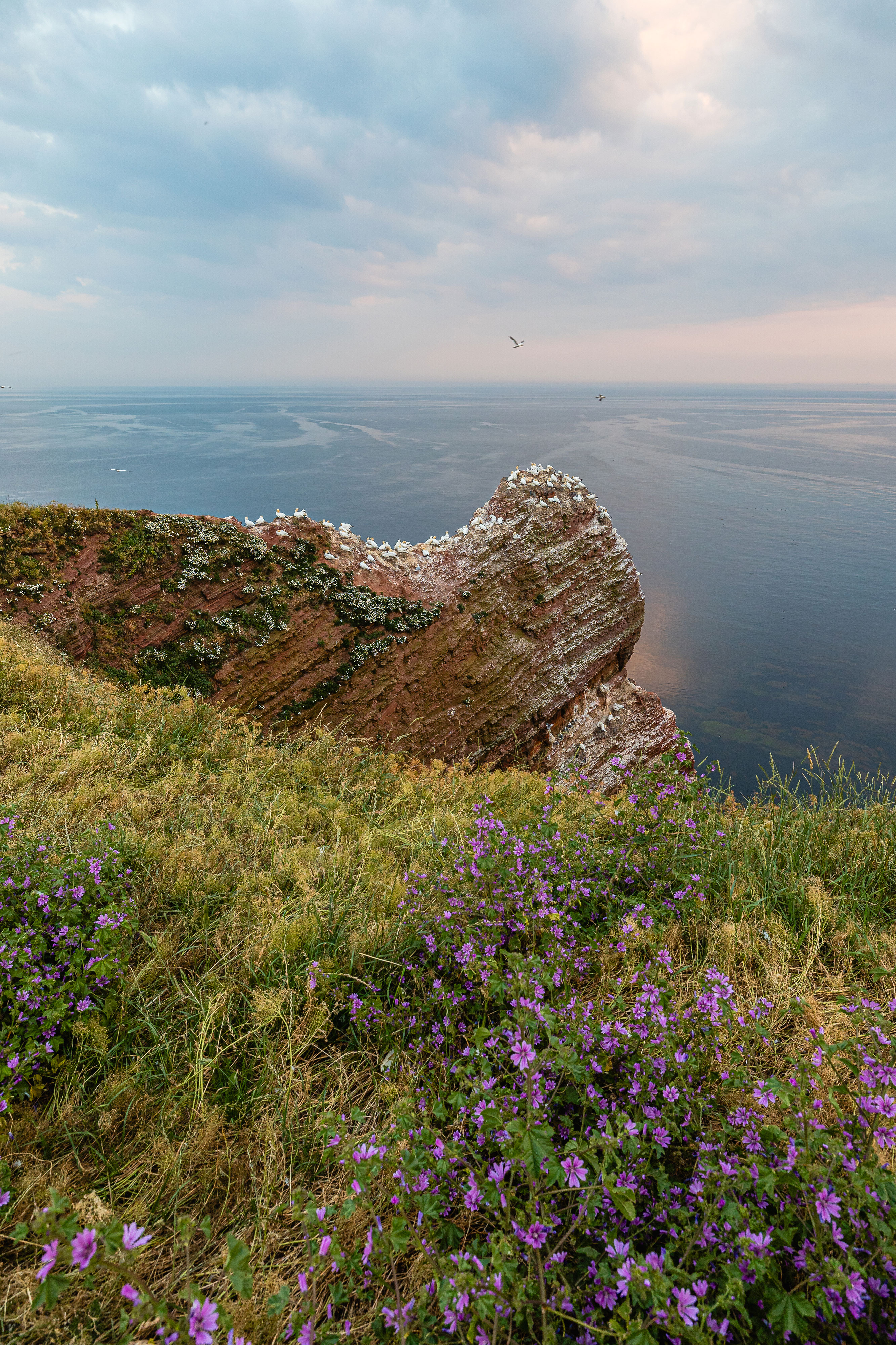 Testbericht Canon RF 15-35mm f2.8