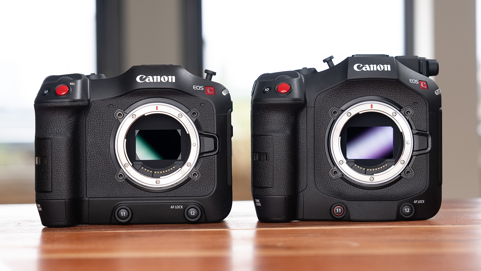 Canon C70 und C80 im Vergleich