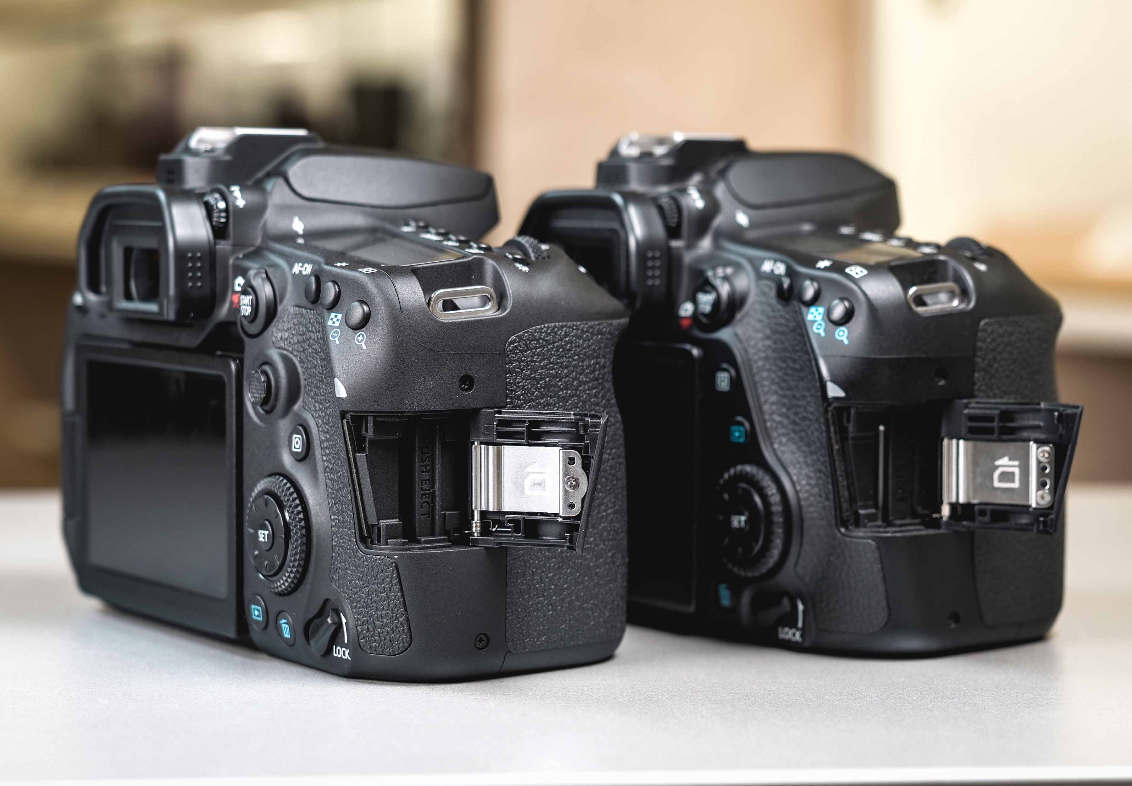 Canon EOS 90D vs 80D