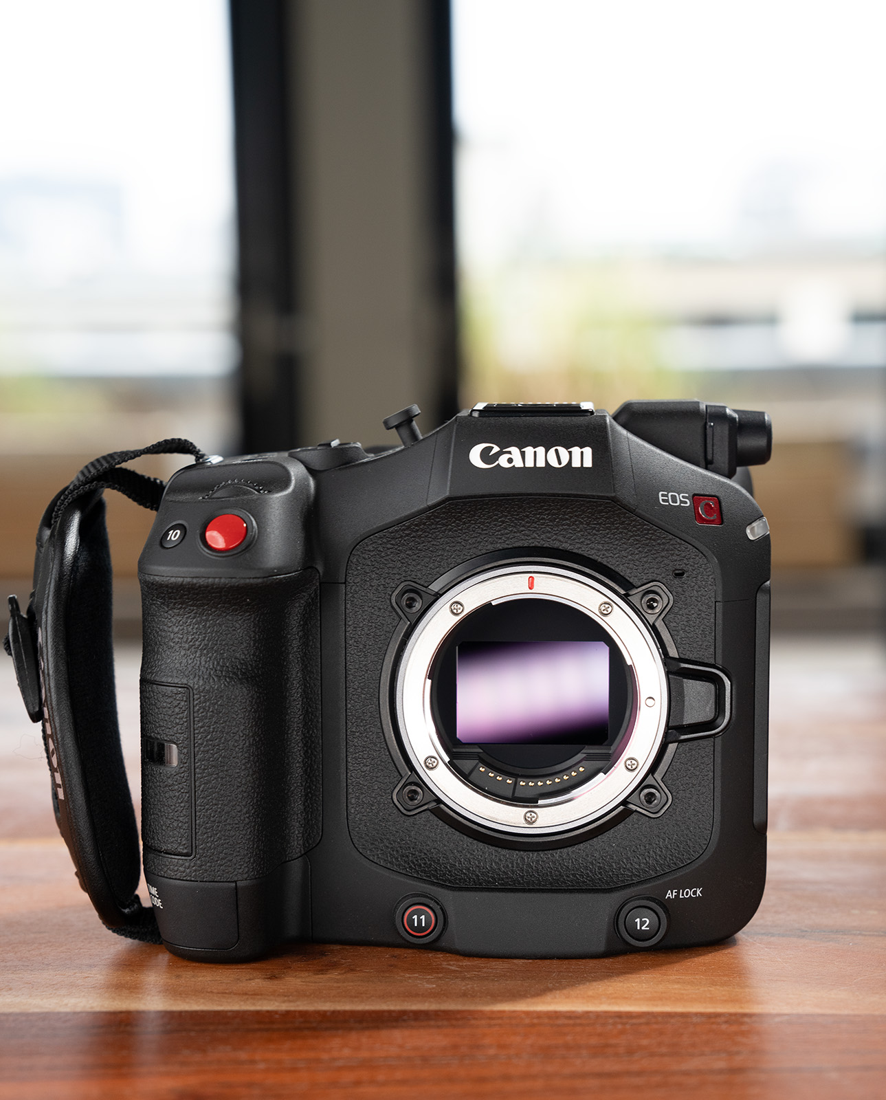 Canon EOS C80 Sensor