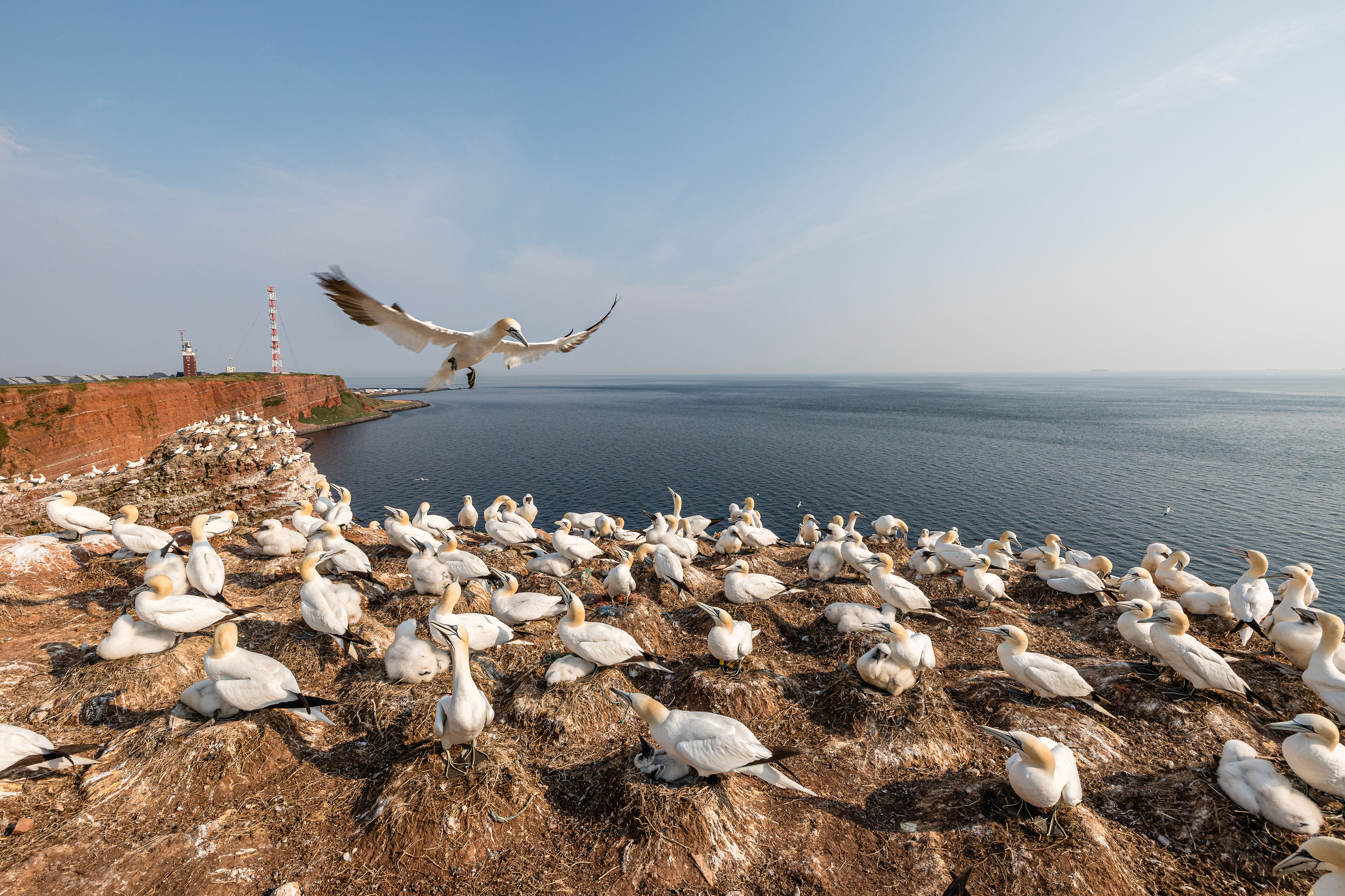 Testbericht Canon RF 15-35mm f2.8