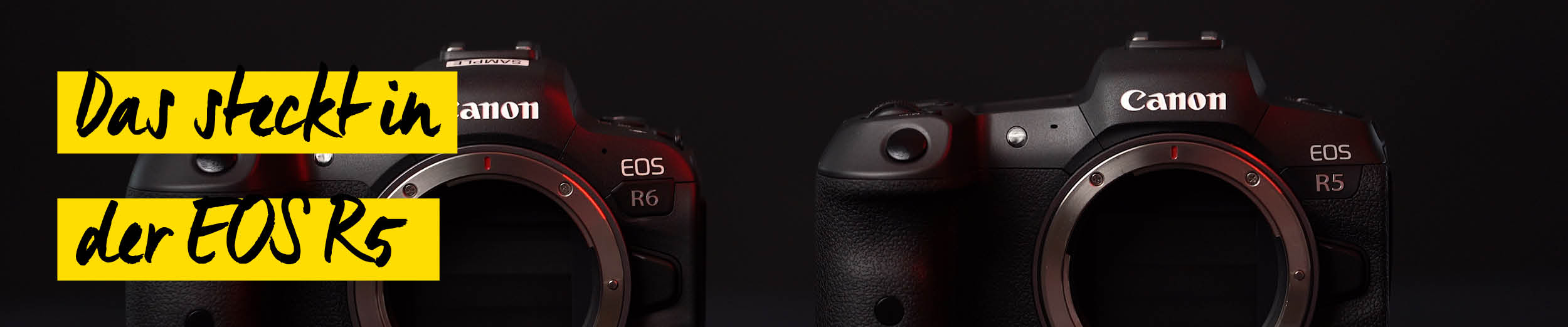 canon eos r5 und r6
