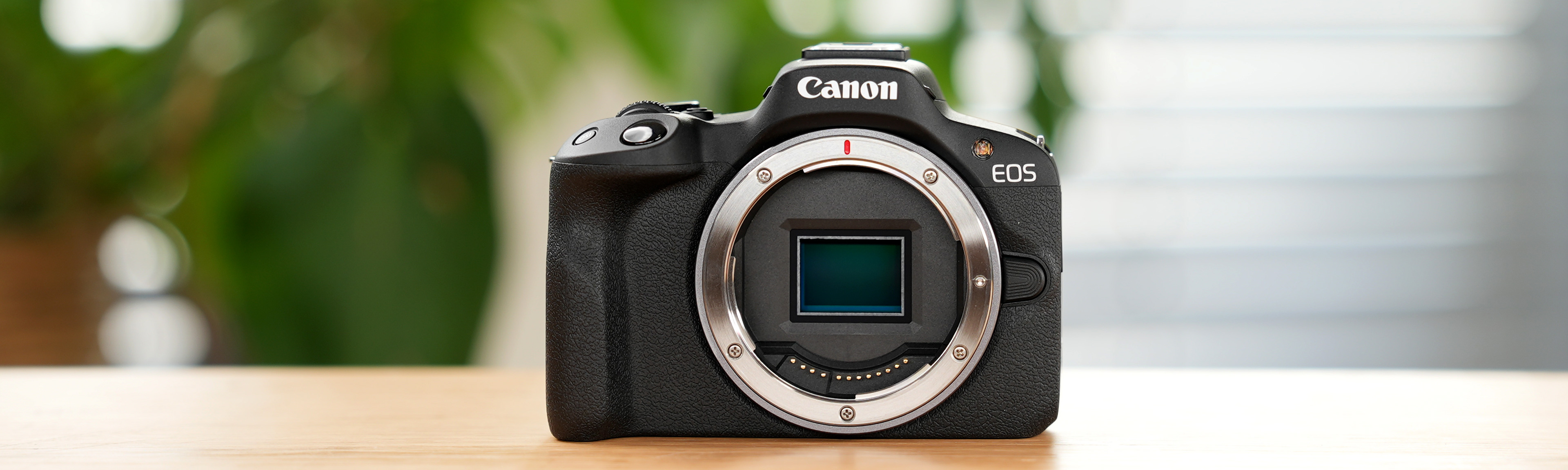 Canon EOS R50 Review Foto Koch