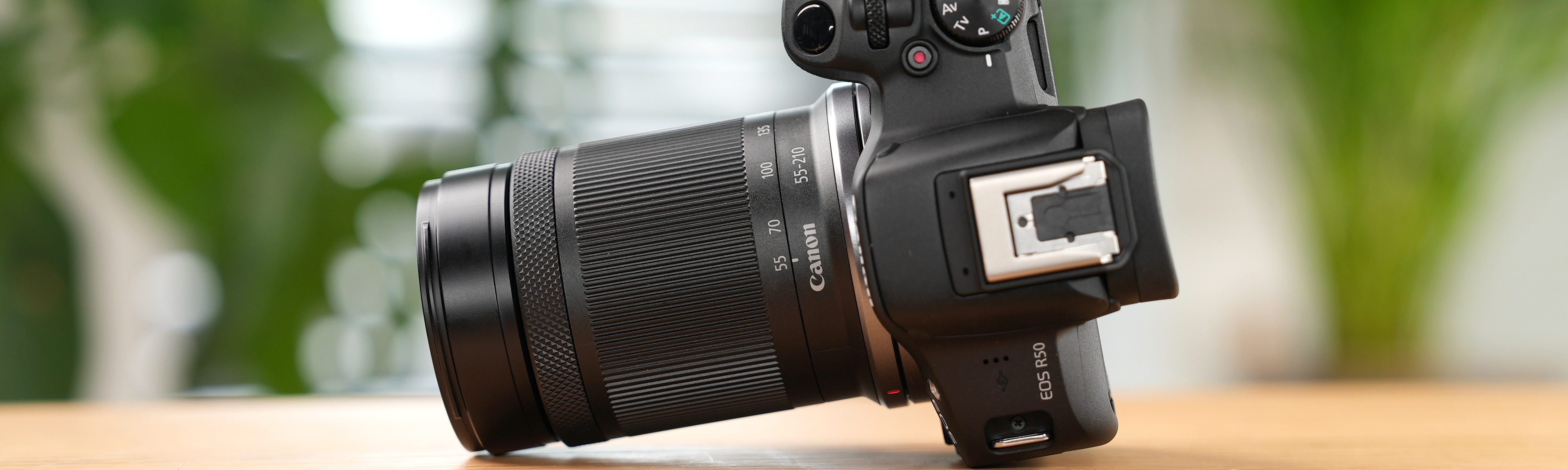 Canon EOS R50 mit RF-S 55-210mm Foto Koch